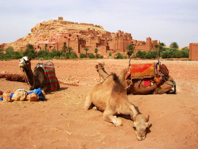 excursion-ait-ben-haddou01
