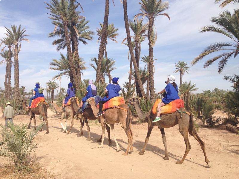 https://www.guidetourmarrakech.com/wp-content/uploads/2018/11/Camel-ride-Marrakech-Morocco-Camel-Trekking.jpg
