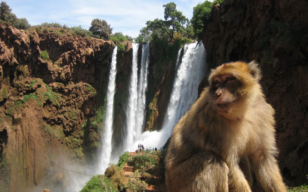 https://www.guidetourmarrakech.com/wp-content/uploads/2018/11/PRIVATE-DAY-TOUR-TO-OUZOUD-WATERFALLS-03-1024x640.jpg