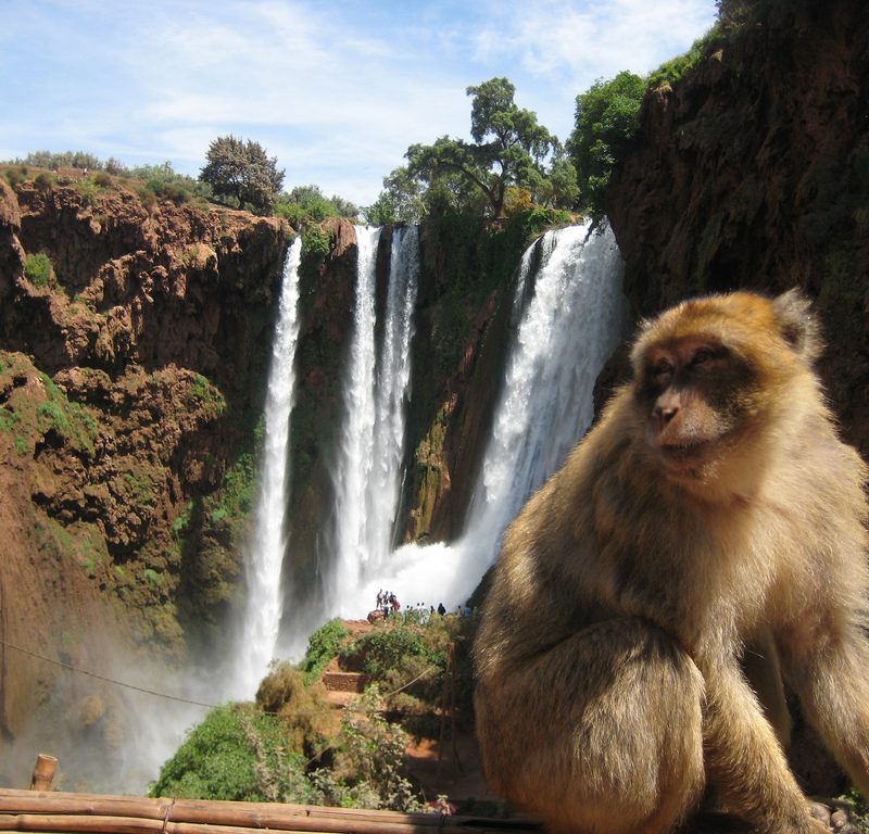 Full Day Trip From Marrakech To Ouzoud Waterfalls