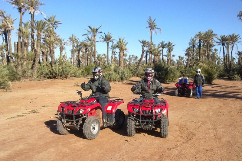 Guided Quad Bike Adventure At Marrakech Desert And Palm Grove