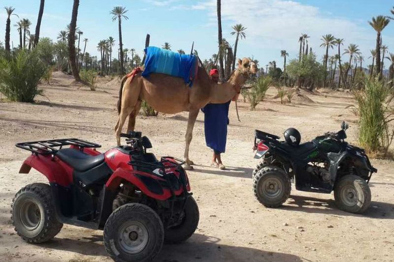 Full Day Combined Camel Ride And Quad Bike In Desert Of Marrakech