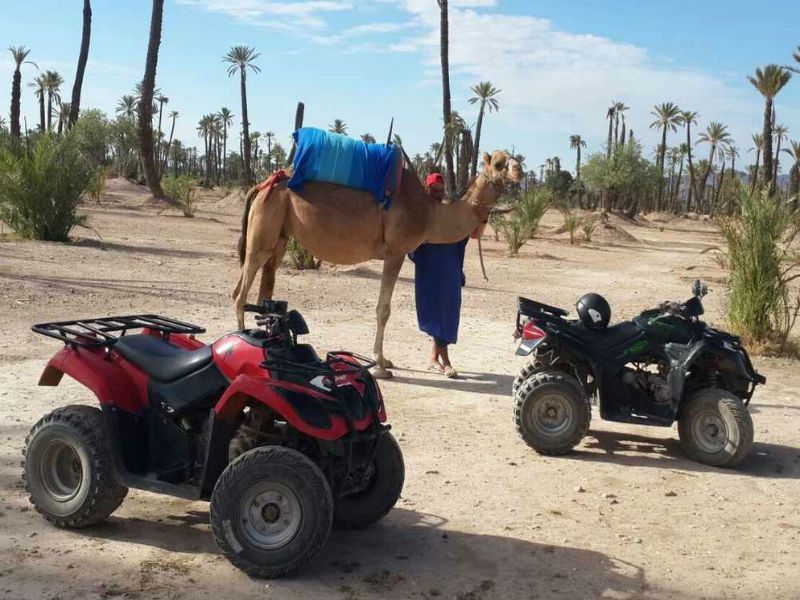 https://www.guidetourmarrakech.com/wp-content/uploads/2018/11/quad-and-camel-ride-combined.jpg