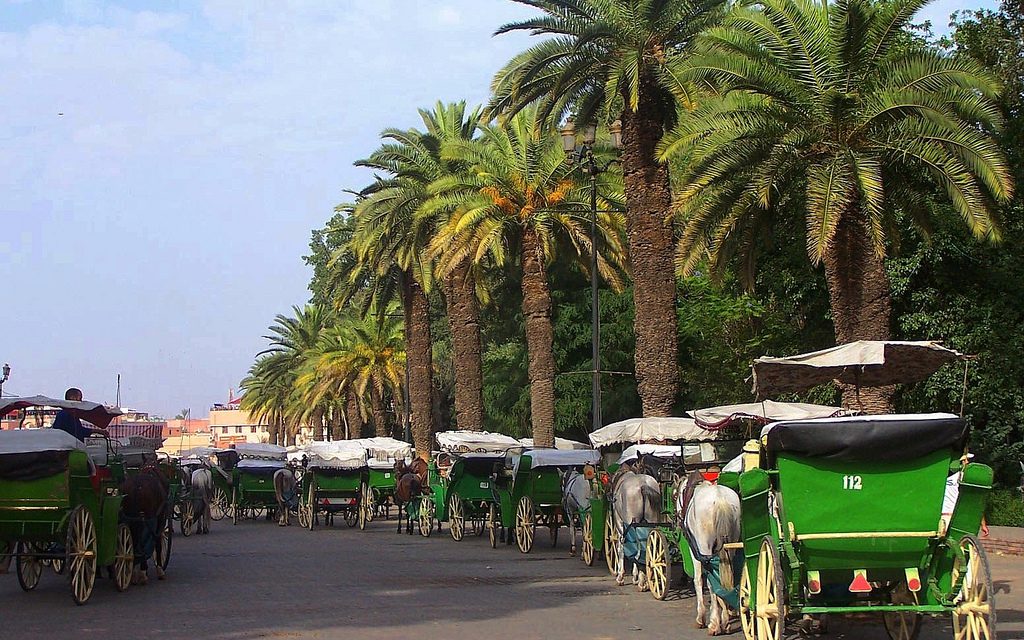 https://www.guidetourmarrakech.com/wp-content/uploads/2019/03/3087070971_e62ae72e75_b-1024x640.jpg